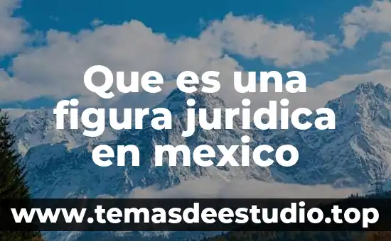 Qué es investido de personalidad jurídica 4 Que es una figura juridica en mexico