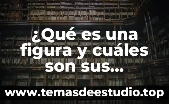 Que es el espacio geográfico y cuales sus climas geografico 8 ¿Qué es una figura y cuáles son sus características?
