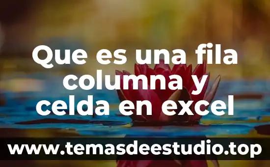 En excel que es una celda activa 8 Que es una fila columna y celda en excel