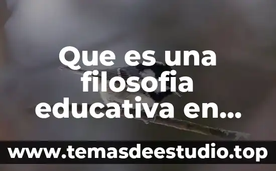 Análisis de qué es la filosofía 6 Que es una filosofia educativa en una escuela