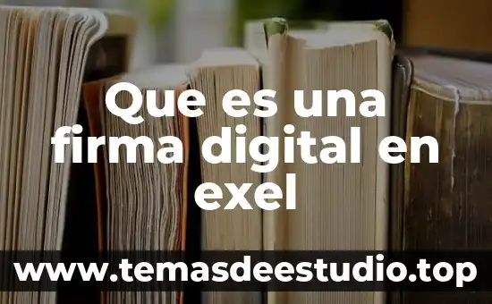 Que es exel y para que nos sirve 5 Que es una firma digital en exel