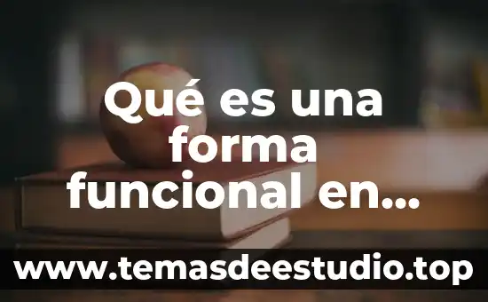 Que es loreta conectividad funcional 8 Qué es una forma funcional en econometría