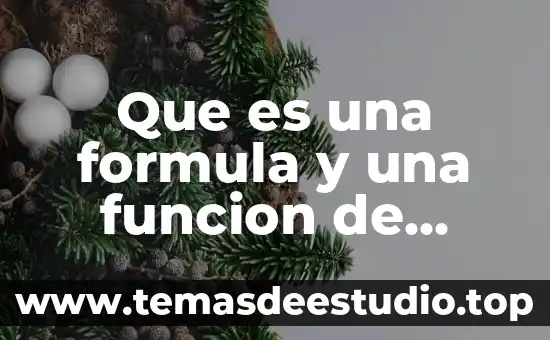 Que es la función en arquitectura 6 Que es una formula y una funcion de excel