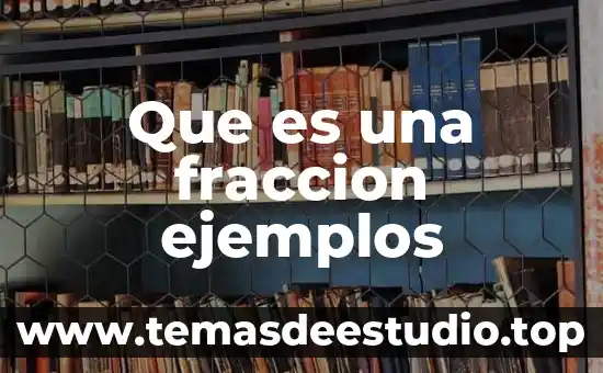 Que es un movimiento deudor en contabilidad ejemplos 8 Que es una fraccion ejemplos
