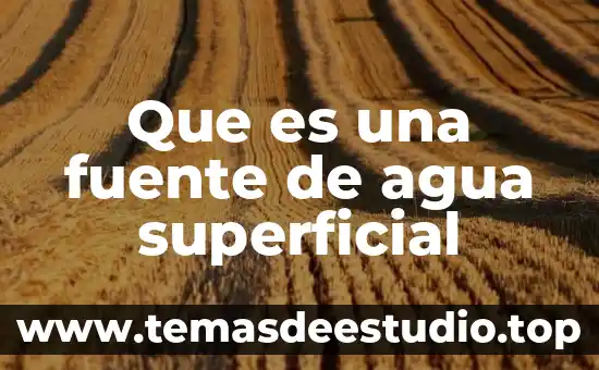 Agua de coco con piña para que es buena 6 Que es una fuente de agua superficial