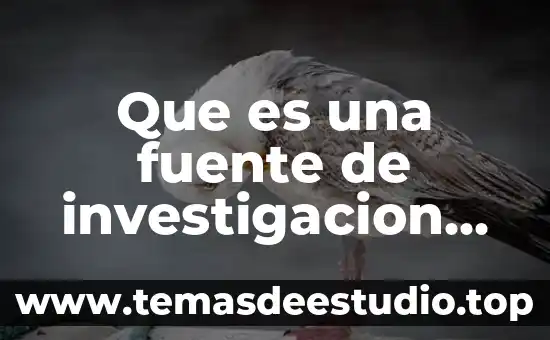 Que es el proteccionismo en historia de mexico 3 Que es una fuente de investigacion documental