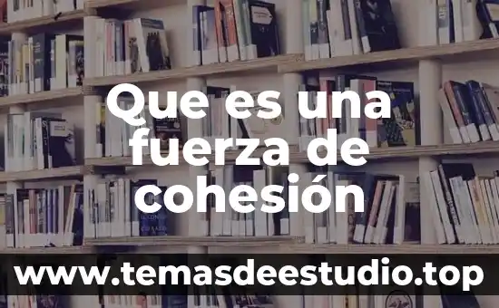 Que es la cohesion de un texto ejemplos 3 Que es una fuerza de cohesión