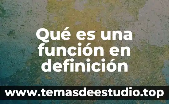 Que es la colora de la flor definicion 8 Qué es una función en definición