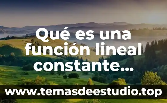 Qué es el estómago concepto 8 Qué es una función lineal constante cuadrática y cúbica