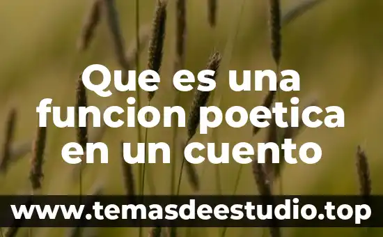 Que es la portada de un cuento 3 Que es una funcion poetica en un cuento