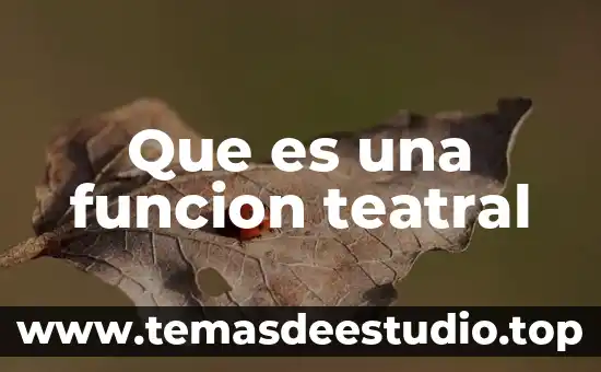 Que es una funcion teatral