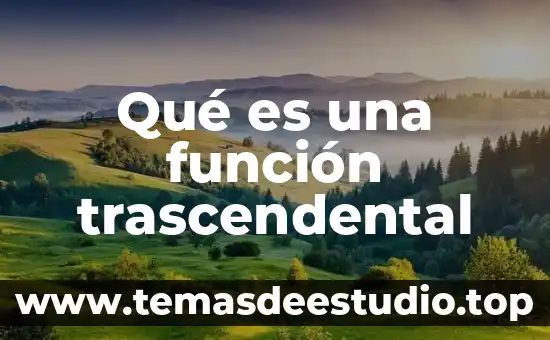 Qué es la estética trascendental en la filosofía 7 Qué es una función trascendental