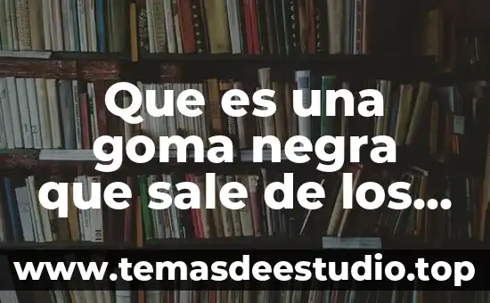 Sila orina sale como grasosa que es 8 Que es una goma negra que sale de los naranjos