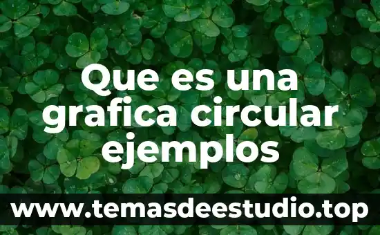 Que es una grafica circular ejemplos