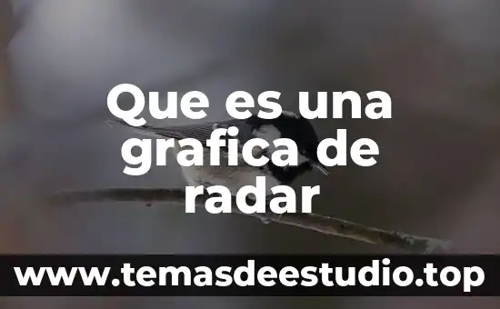 Que es grafica de apoyo dentro de la identidad isual 7 Que es una grafica de radar