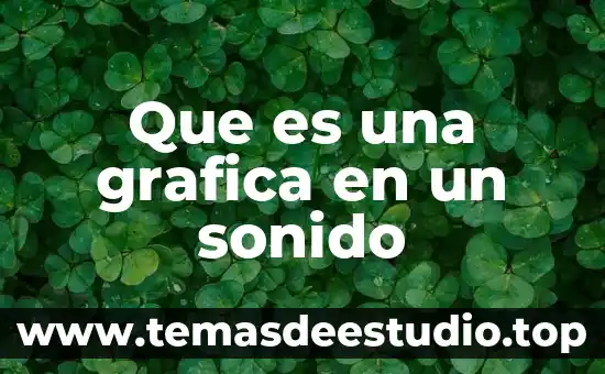 Que es grafica de apoyo dentro de la identidad isual 3 Que es una grafica en un sonido