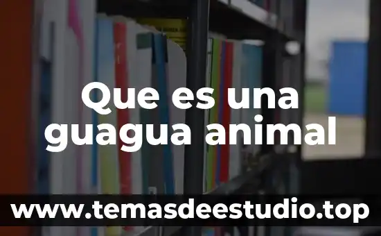 Qué es zoología animal 6 Que es una guagua animal