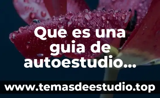 Que es insertar tabla en word 7 Que es una guia de autoestudio yahoo