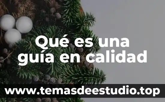 Qué es una guía rápida concepto 8 Qué es una guía en calidad
