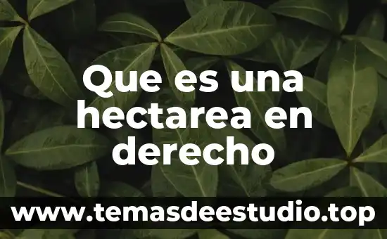 Ignacio Burgoa definición que es el derecho 7 Que es una hectarea en derecho