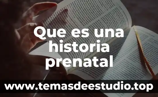 Que es historia de vida segun autores 7 Que es una historia prenatal