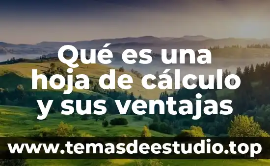 Que es el movimiento de proyectiles en fisica 8 Qué es una hoja de cálculo y sus ventajas