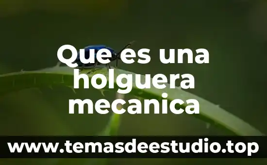 Que es una holguera mecanica