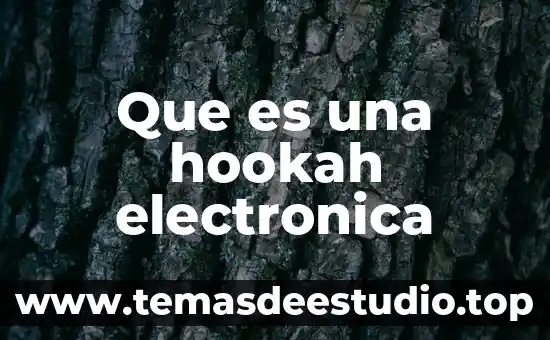 ¿Qué es la música electrónica? 3 Que es una hookah electronica