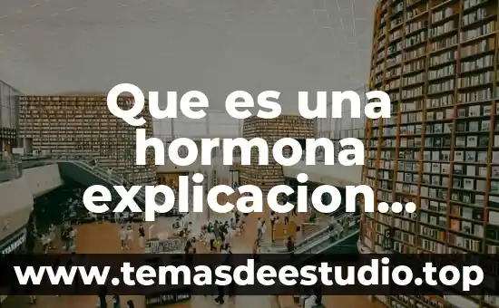 Qué es un icono explicación para niños 7 Que es una hormona explicacion para niños