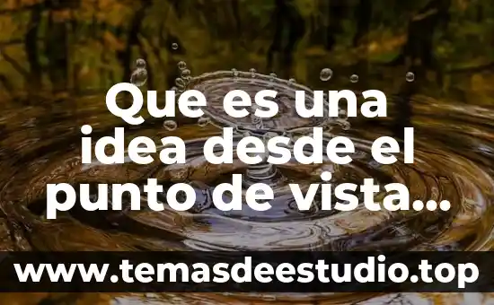 Qué es la saponificación desde el punto de vista químico 7 Que es una idea desde el punto de vista empresarial