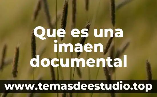 Que es una imaen documental