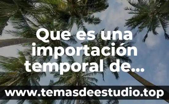 Qué es la filosofía subyacente en Juana de Arco 4 Que es una importación temporal de bienes