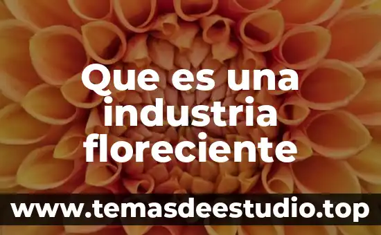 Qué es el perímetro o el área de una figura 6 Que es una industria floreciente