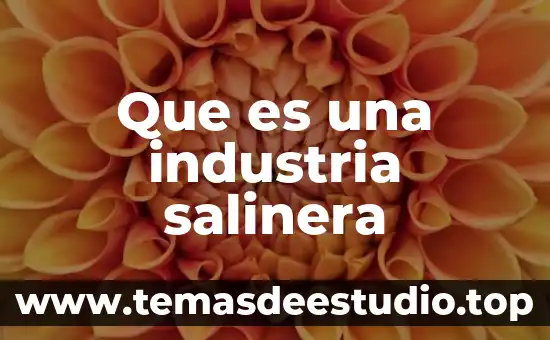 Que es el tpm en la industria 5 Que es una industria salinera