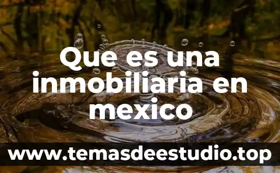 Que es una sociedad inmobiliaria 5 Que es una inmobiliaria en mexico