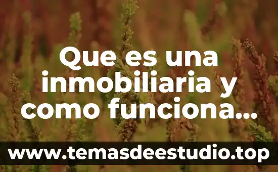 Que es una sociedad inmobiliaria 3 Que es una inmobiliaria y como funciona en mexico