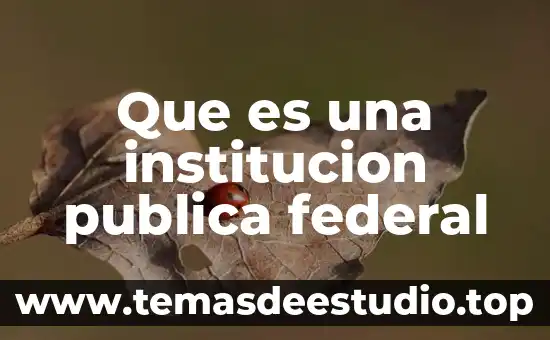 Qué es la cultura organizacional de una institución educativa 8 Que es una institucion publica federal