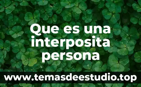 Que es una persona noble en metáfora 5 Que es una interposita persona