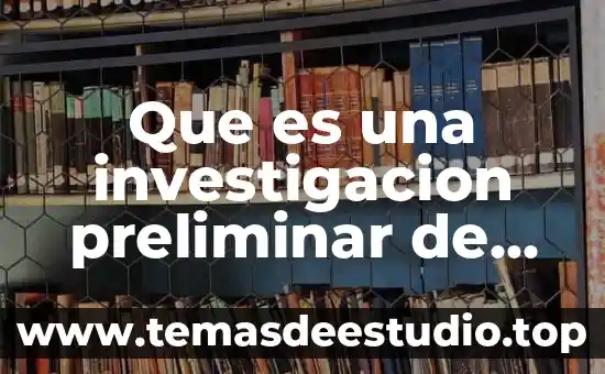 Que es una investigacion preliminar de mercado