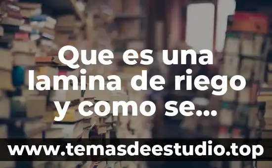 Que es el liva y como se calcula 6 Que es una lamina de riego y como se calcula