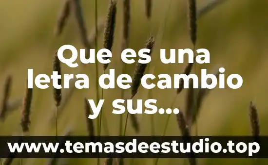 Que es libertad y sus caracteristicas 4 Que es una letra de cambio y sus caracteristicas
