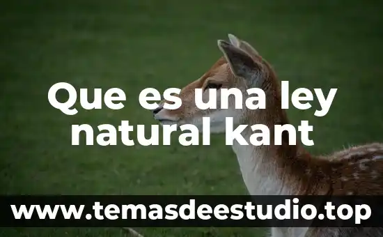 Kant que es la ilustración filosofia de la historia 8 Que es una ley natural kant