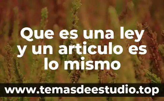 Que es una ley y un articulo es lo mismo