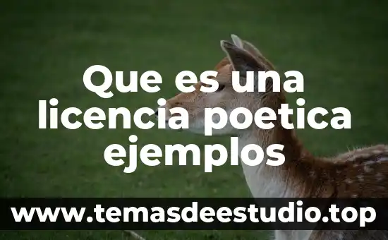 Que es una licencia poetica ejemplos
