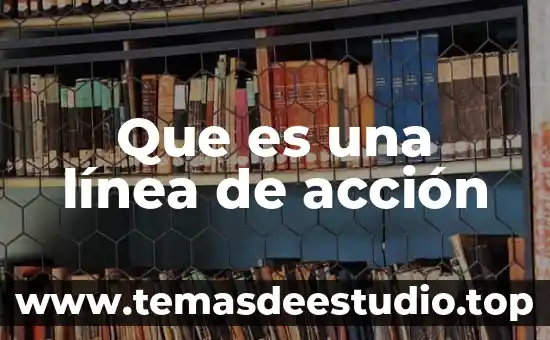 Que es la accion orexigenica 5 Que es una línea de acción