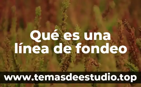 Que es linea de sistema amigo o planta difario telcel 7 Qué es una línea de fondeo