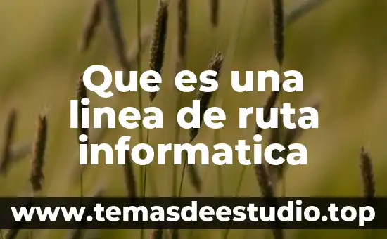 Que es una linea cosmética 8 Que es una linea de ruta informatica