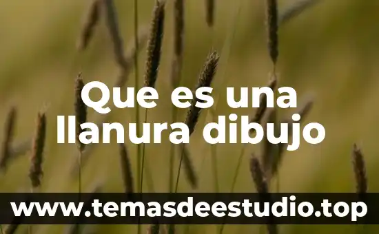 Que es magnitud de base y deribada en dibujo indutrial 5 Que es una llanura dibujo