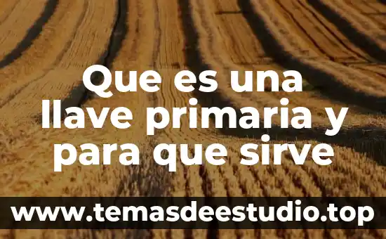 Que es una llave primaria y para que sirve