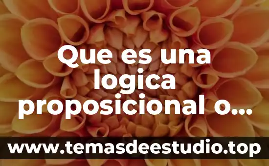 Que es el sentido de la lógica proposicional 4 Que es una logica proposicional o inferencial